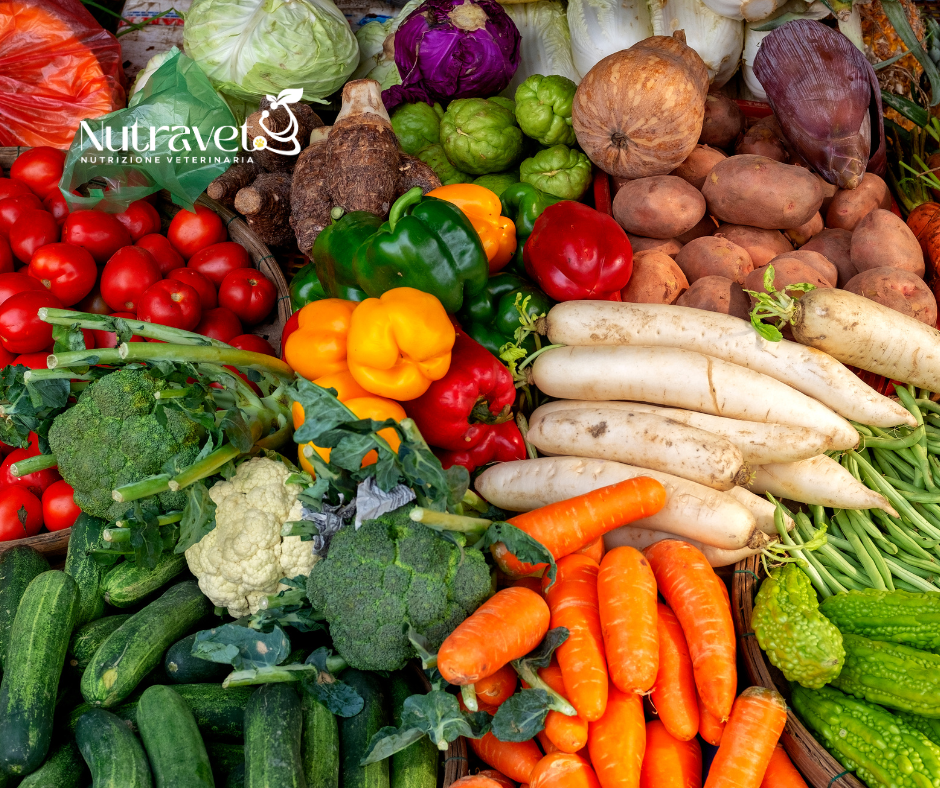 Dieta variegata per cani