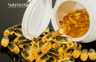 Omega 3 per il gatto Omega 3 per il gatto